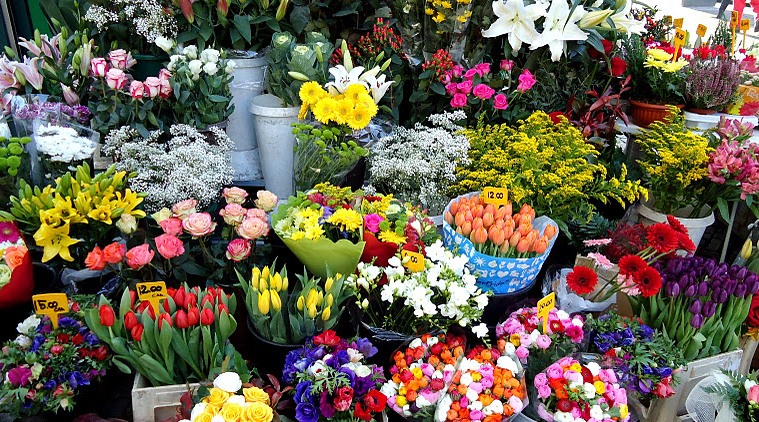 Preços de flores e velas podem variar mais de 400% no Dia de Finados em Campina