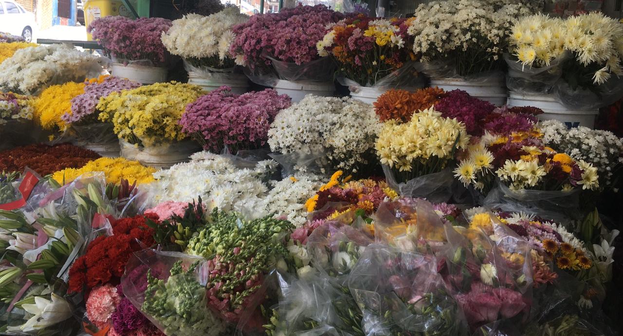 Dia de Finados: Consumidor pode economizar até 110 reais na compra da coroa de flores